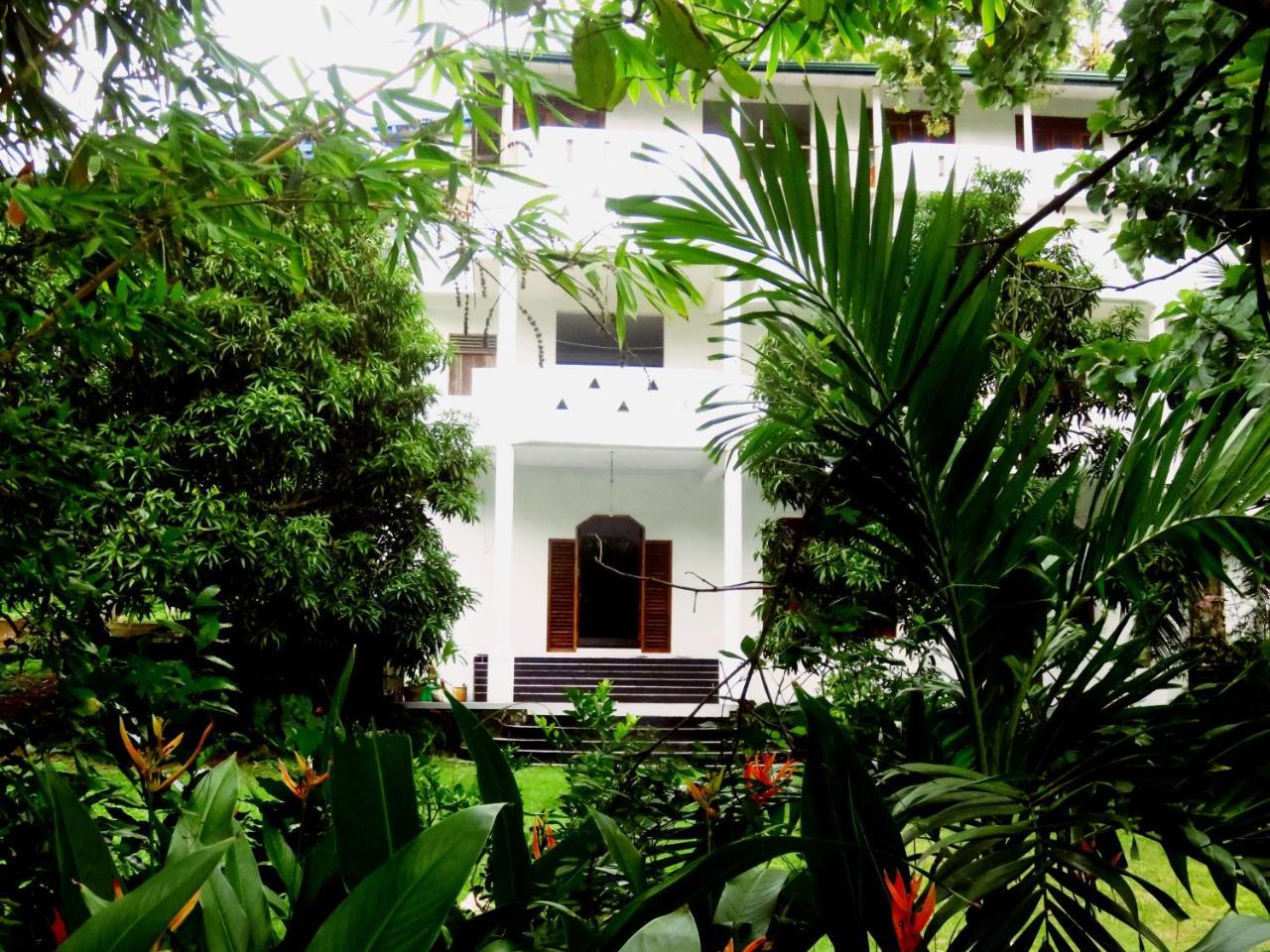 Hotel Sea Avenue - Eco Garden à Tangalle Extérieur photo
