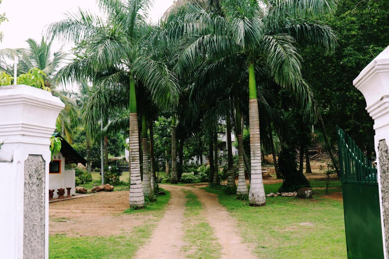 Hotel Sea Avenue - Eco Garden à Tangalle Extérieur photo