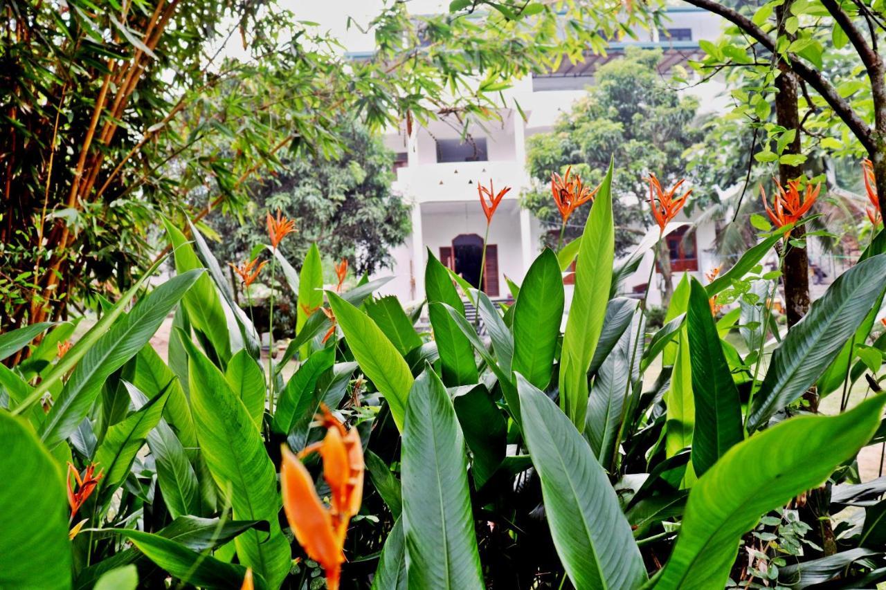 Hotel Sea Avenue - Eco Garden à Tangalle Extérieur photo