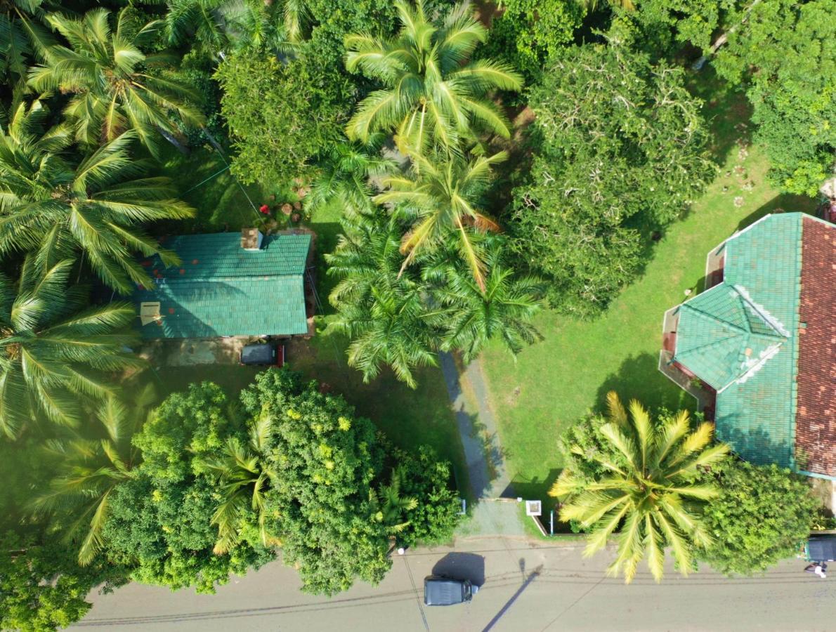 Hotel Sea Avenue - Eco Garden à Tangalle Extérieur photo