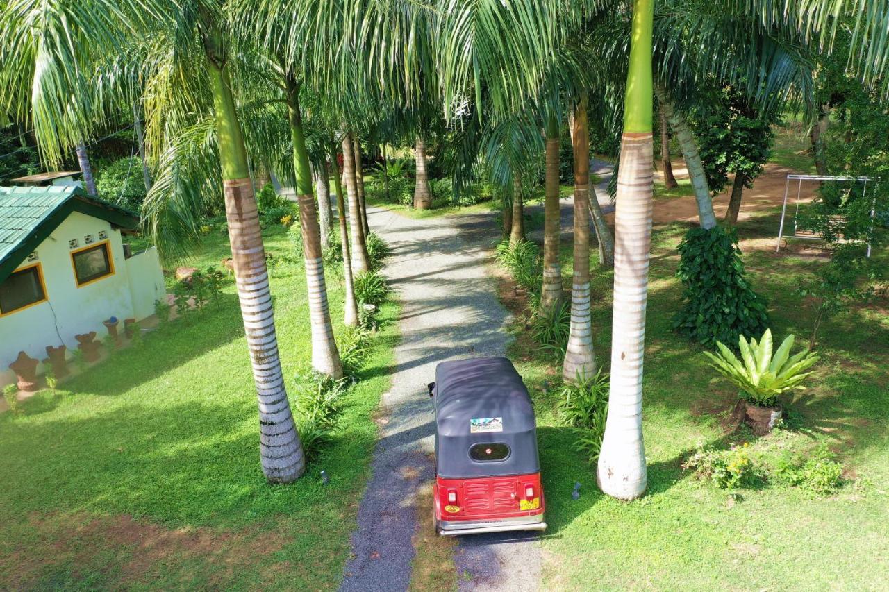 Hotel Sea Avenue - Eco Garden à Tangalle Extérieur photo